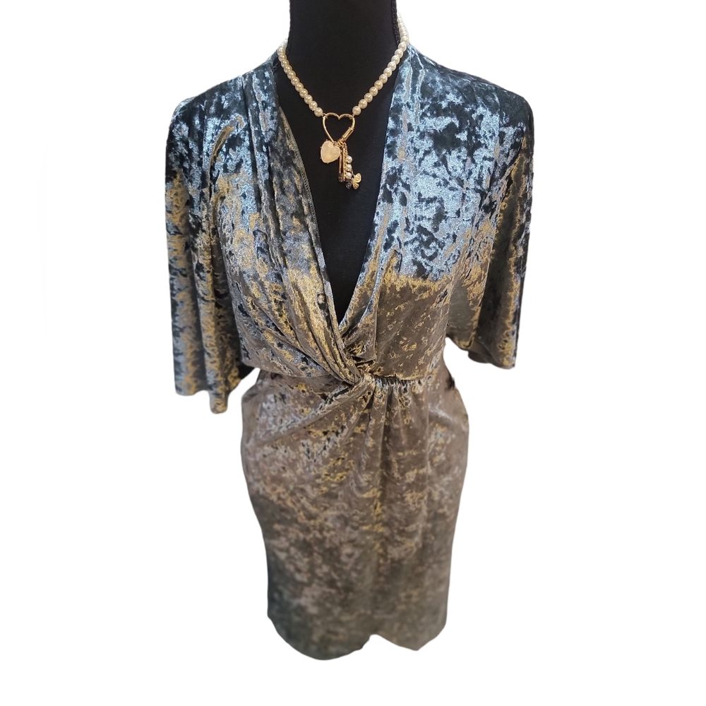 Zara Velvet Dress